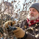 Featured image placeholder 16:9