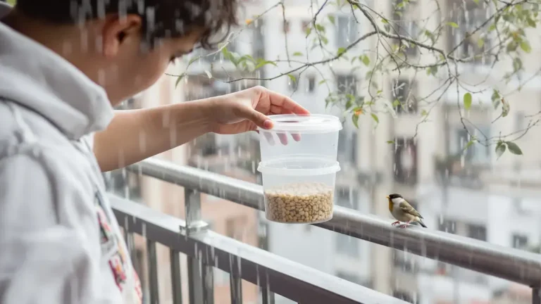 אזהרה לאקולוגים השלכת עציצים מפלסטיק עלולה להזיק לחיות העופות ולעודד התנהגויות מזיקות לפי מומחים