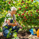 Featured image placeholder 16:9