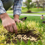 Featured image placeholder 16:9