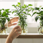 Featured image placeholder 16:9