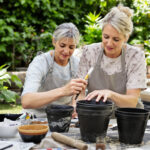 Featured image placeholder 16:9